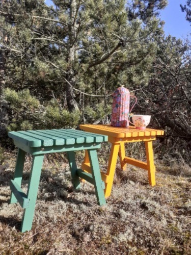 Farvede picnic-borde vises frem på skovtur